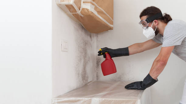 Professional Crawl Space Mold Removal technician working in Carlisle, MA