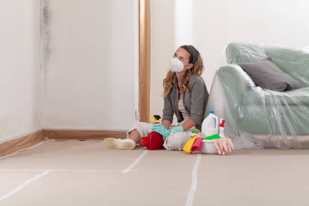 Reliable Crawl Space Mold Removal contractor in Carlisle, MA by WQB Mold Removal