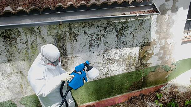 Top rated local Crawl Space Mold Removal specialists in Carlisle, MA
